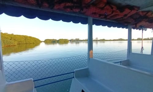 484828039_1207972384083069_872794235014397474_n